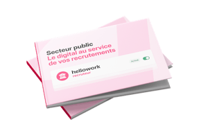 Aperçu livre blanc secteur public digital